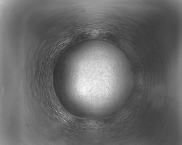 X0000086051105200703301058