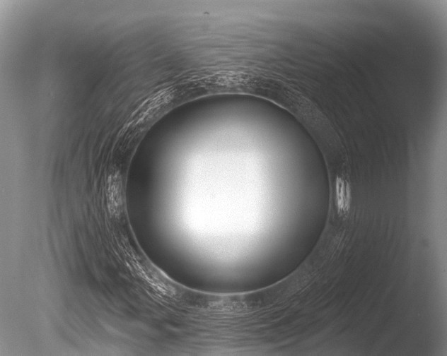 X0000086051107200703301058