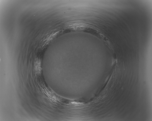 X0000086051108200703301058