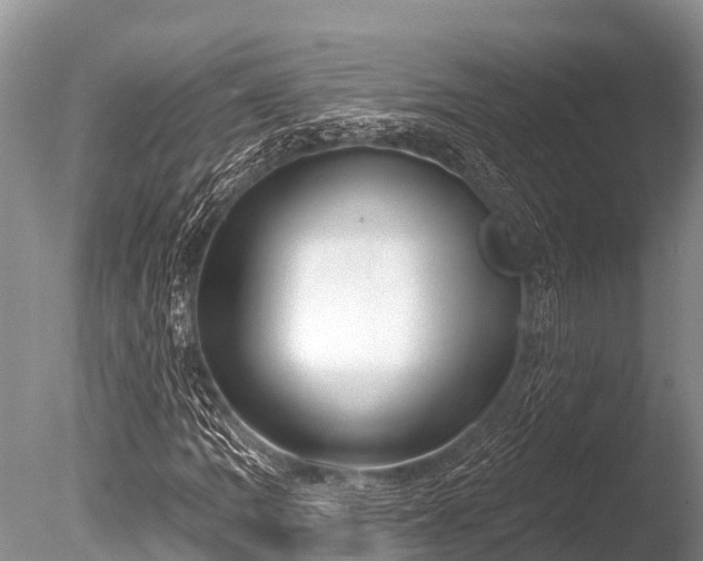 X0000086051109200703301058