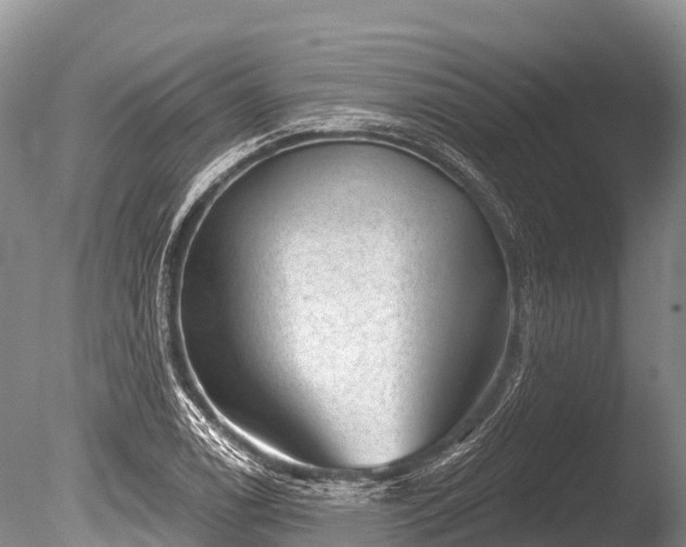 X0000086051122200703301059