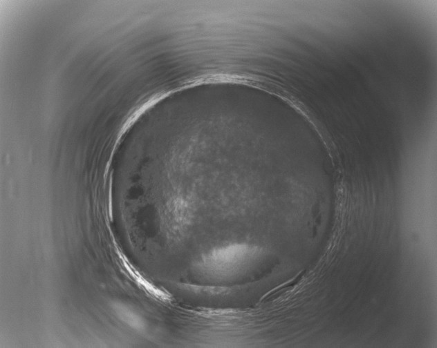 X0000086051127200703301059