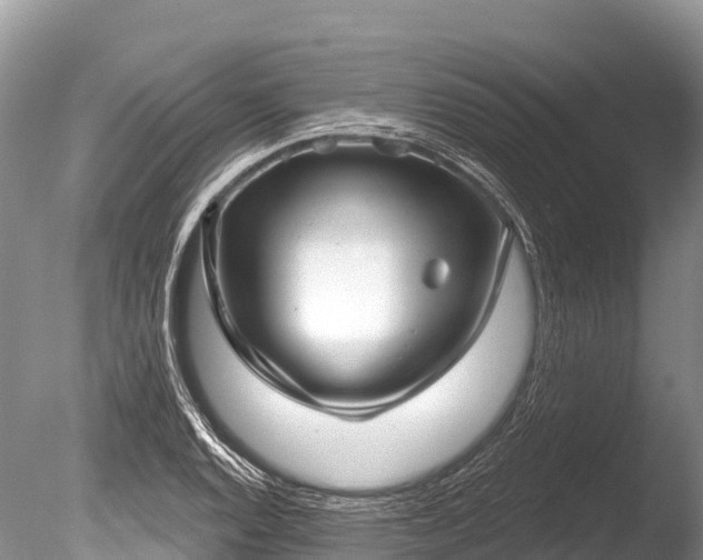 X0000086051128200703301059