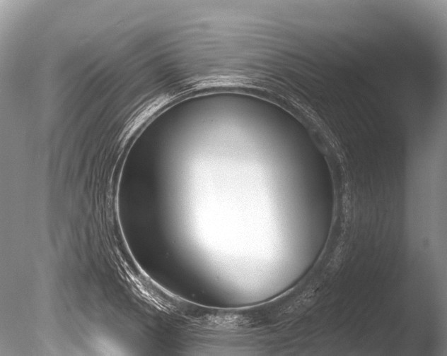 X0000086051129200703301059