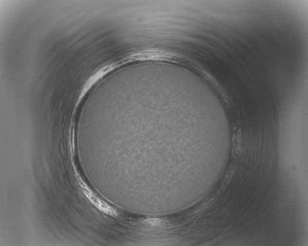 X0000086051130200703301059