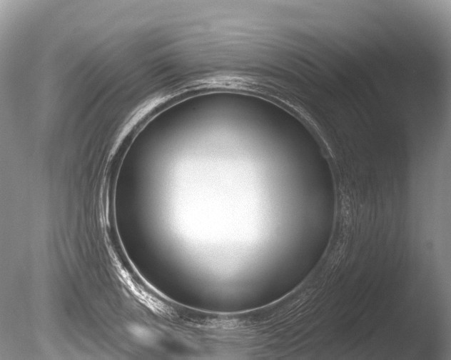 X0000086051131200703301059