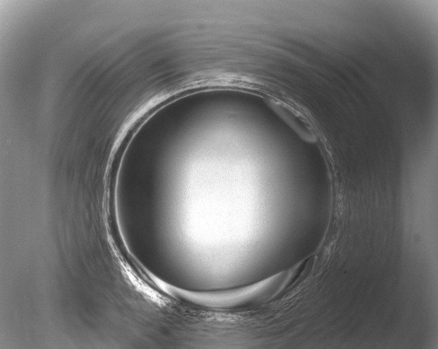 X0000086051136200703301059
