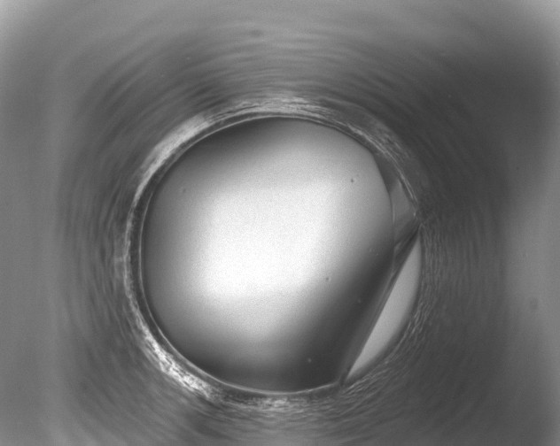 X0000086051139200703301059
