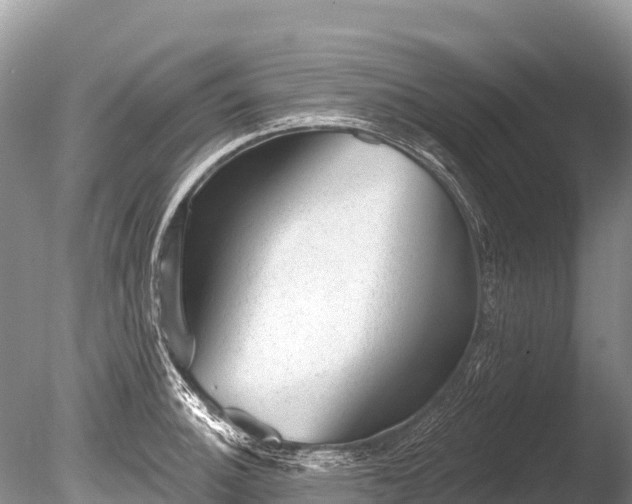 X0000086051140200703301059
