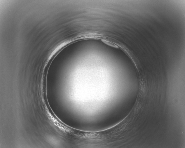 X0000086051147200703301059