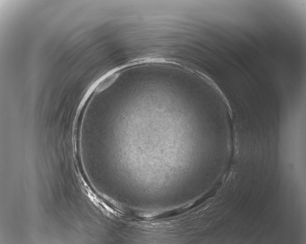 X0000086051148200703301059