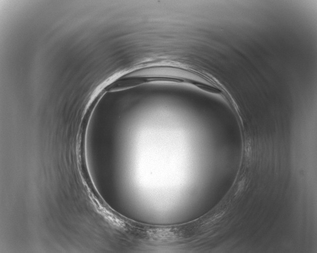 X0000086051149200703301059