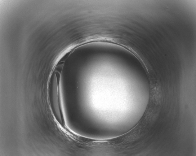 X0000086051151200703301059