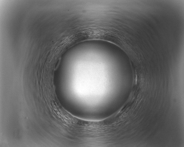 X0000086051153200703301058