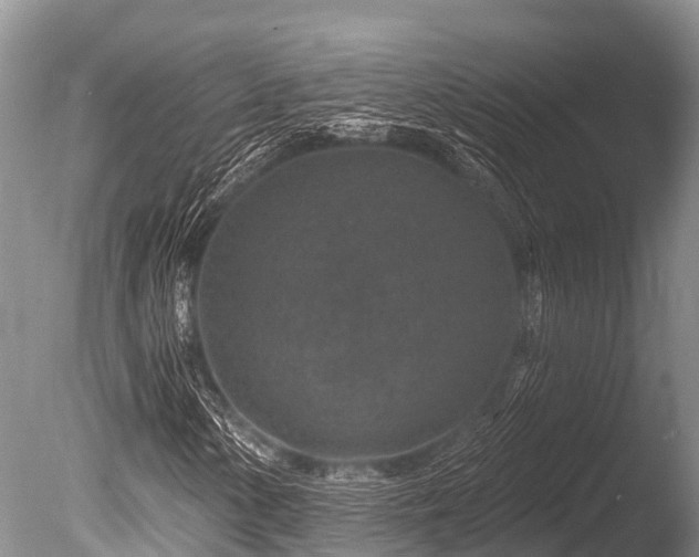 X0000086051154200703301058