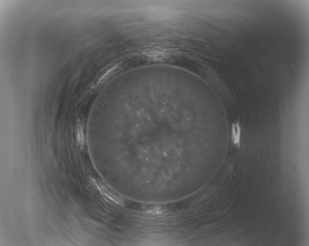 X0000086051155200703301058