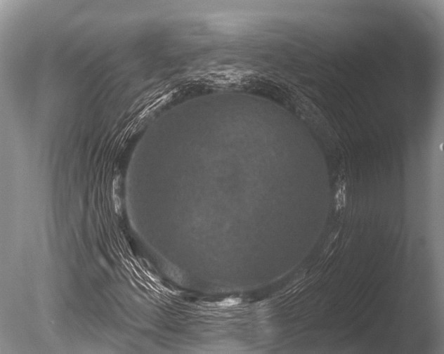 X0000086051156200703301058