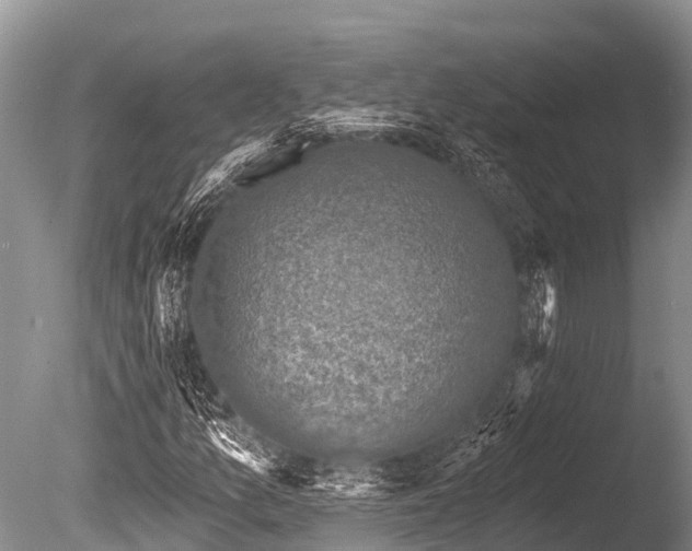 X0000086051157200703301058