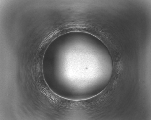 X0000086051159200703301058