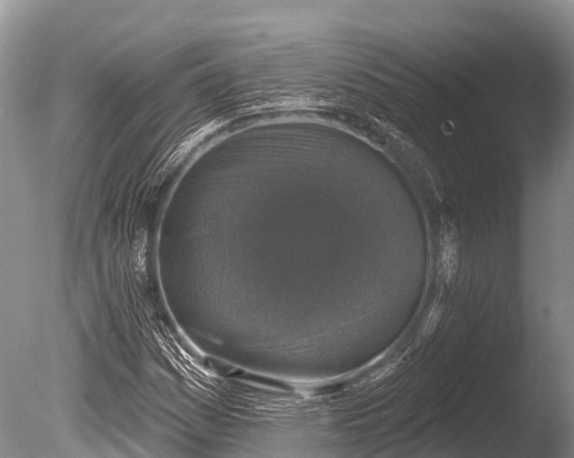 X0000086051161200703301058