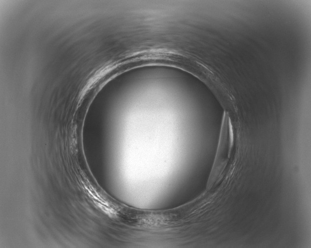 X0000086051164200703301058