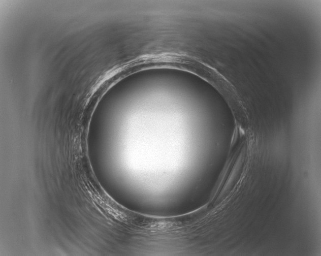 X0000086051166200703301058