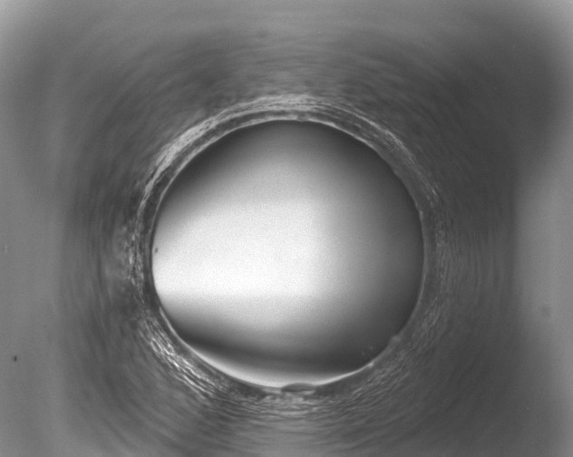 X0000086051168200703301058