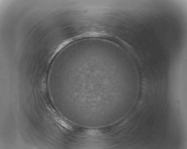 X0000086051170200703301058