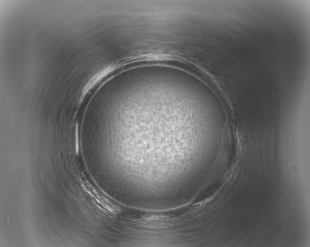 X0000086051171200703301058