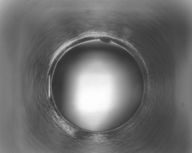 X0000086051175200703301058