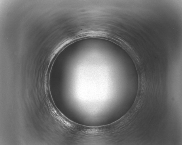 X0000086051182200703301058