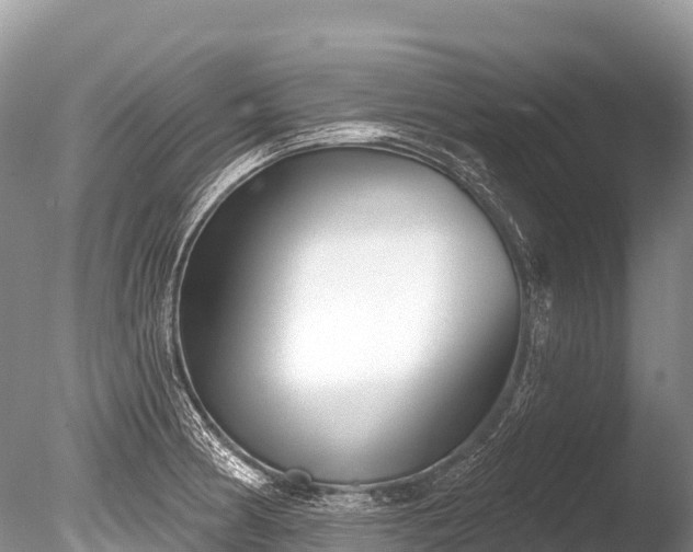 X0000086051186200703301058