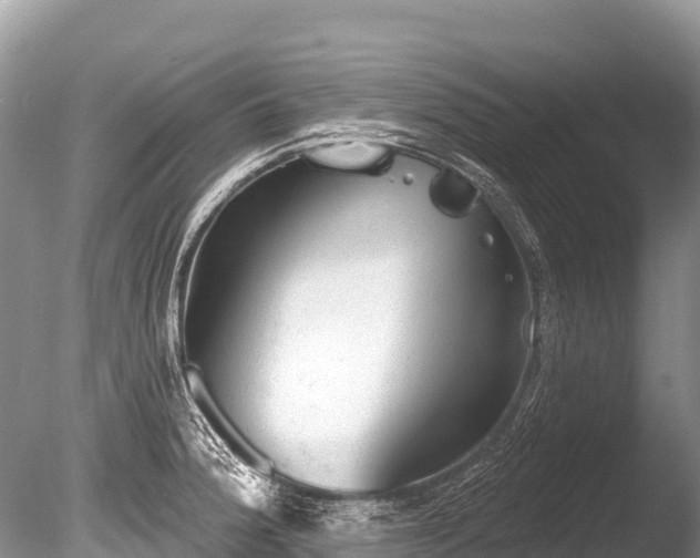 X0000086051188200703301058