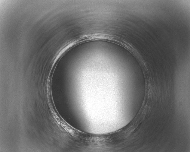 X0000086051190200703301058