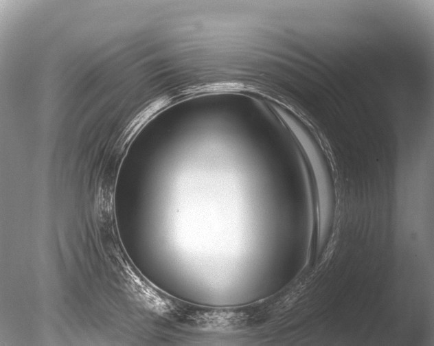 X0000086051193200703301058