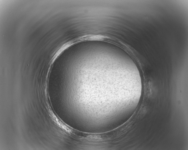 X0000086051194200703301057
