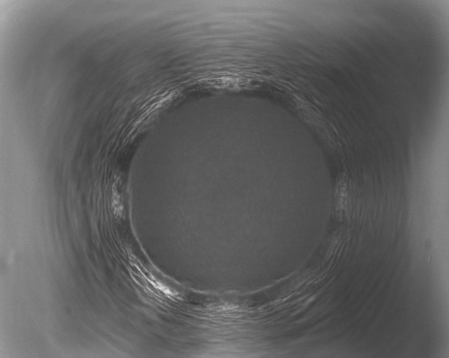 X0000086051202200703301057