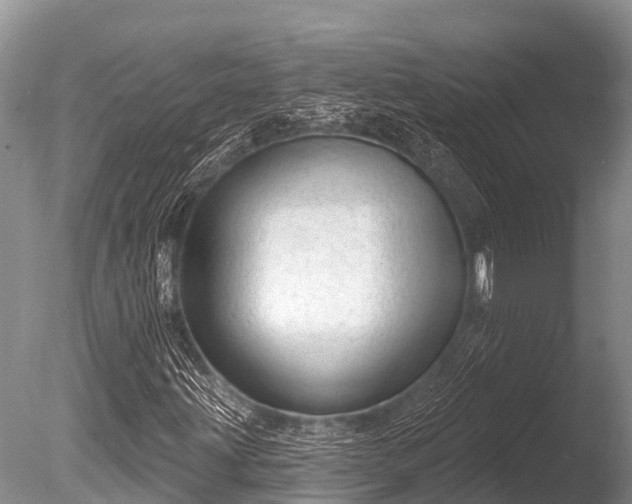 X0000086051203200703301057