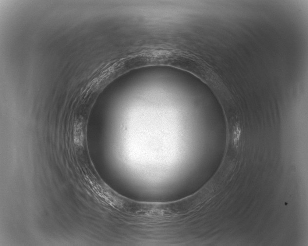 X0000086051204200703301057