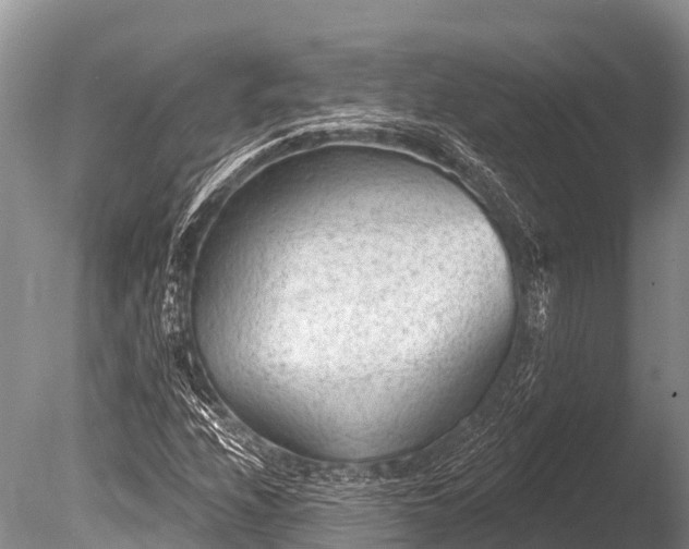 X0000086051208200703301057