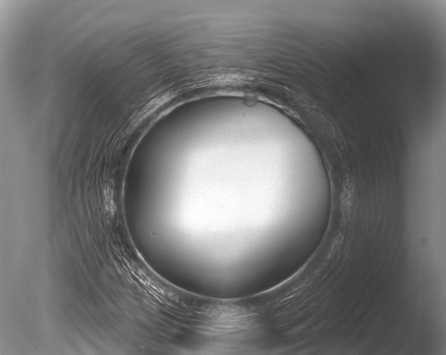 X0000086051209200703301057
