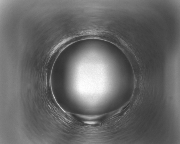 X0000086051214200703301057