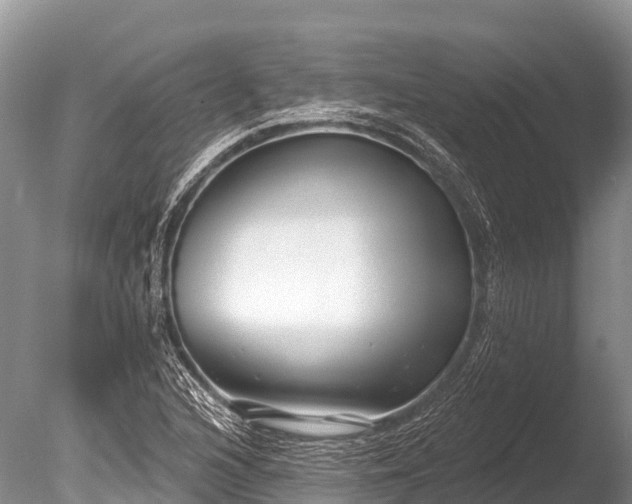 X0000086051216200703301057