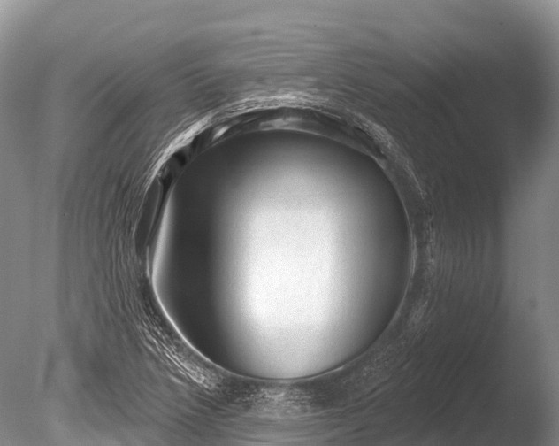 X0000086051218200703301057