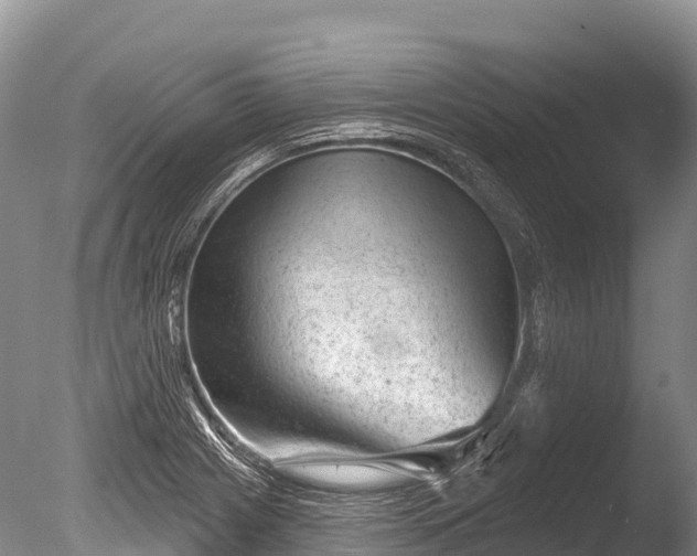 X0000086051225200703301057