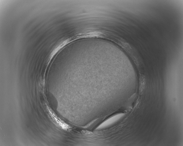 X0000086051234200703301057