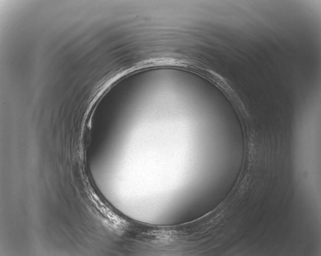 X0000086051236200703301057