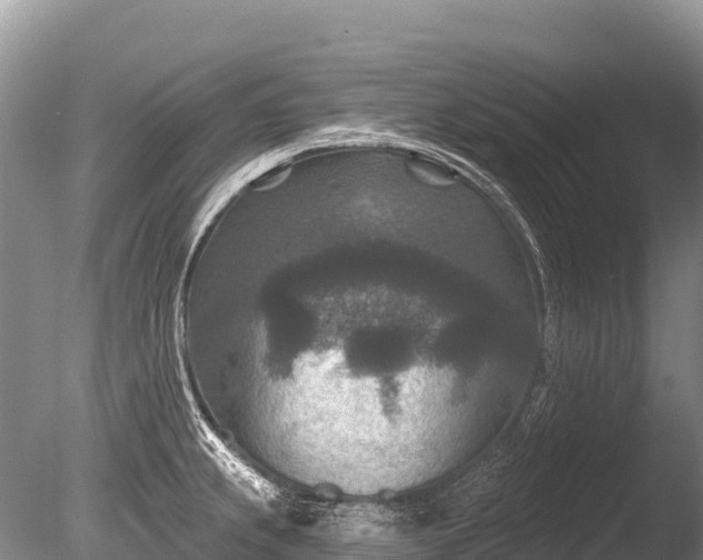X0000086051239200703301057