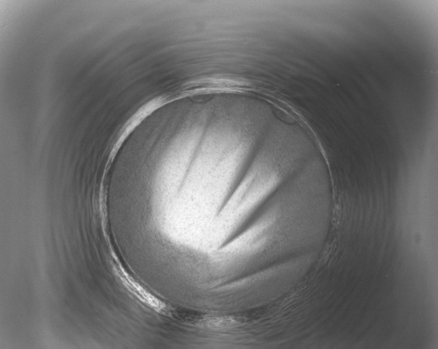 X0000086051243200703301057