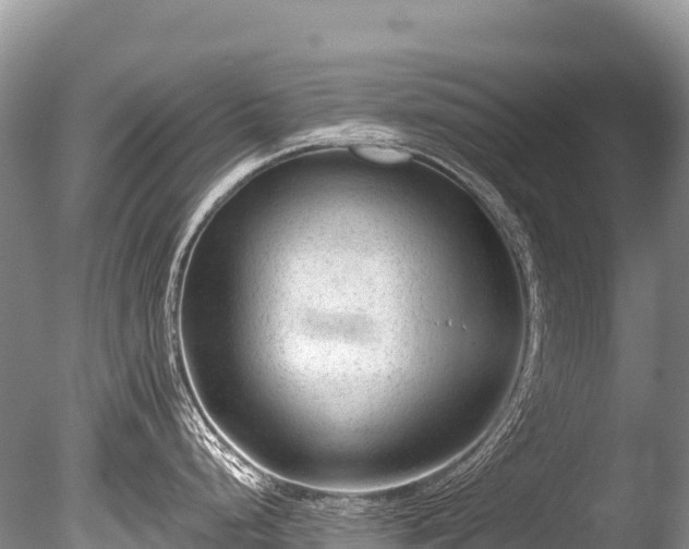 X0000086051248200703301057